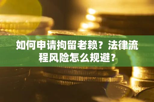 武汉如何申请拘留老赖？法律流程风险怎么规避？