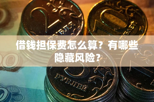 武汉借钱担保费怎么算？有哪些隐藏风险？