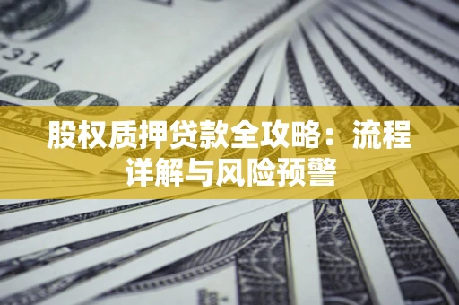 武汉股权质押贷款全攻略：流程详解与风险预警