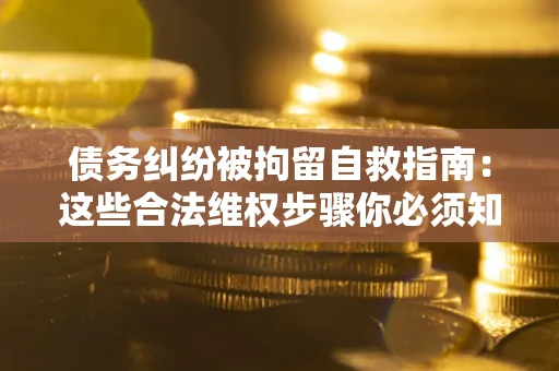 武汉债务纠纷被拘留自救指南：这些合法维权步骤你必须知道！