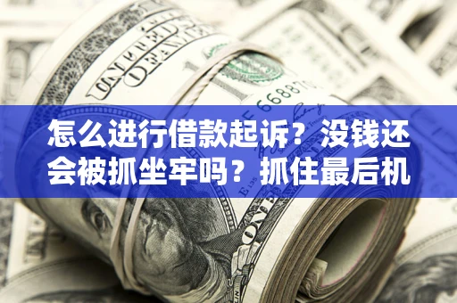 武汉怎么进行借款起诉？没钱还会被抓坐牢吗？抓住最后机会！