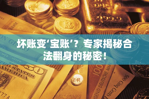 武汉坏账变‘宝账’？专家揭秘合法翻身的秘密！