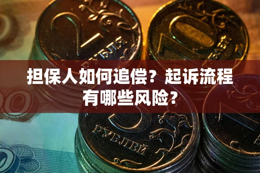 武汉担保人如何追偿？起诉流程有哪些风险？