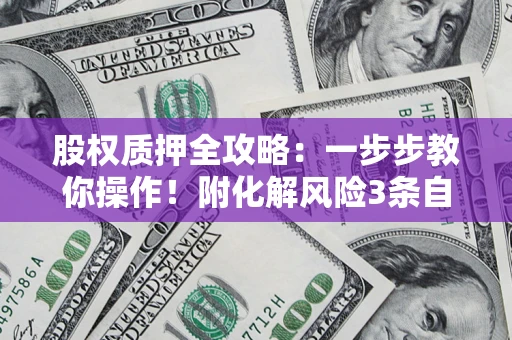 武汉股权质押全攻略：一步步教你操作！附化解风险3条自救法则
