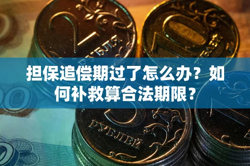 武汉担保追偿期过了怎么办？如何补救算合法期限？