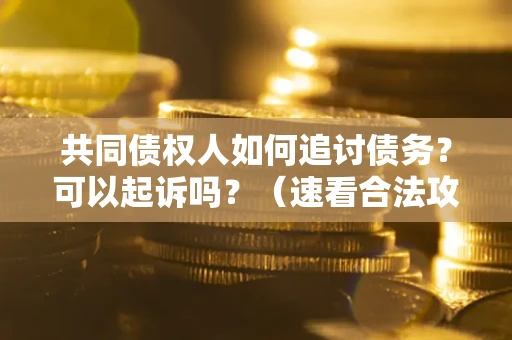 武汉共同债权人如何追讨债务？可以起诉吗？（速看合法攻略）