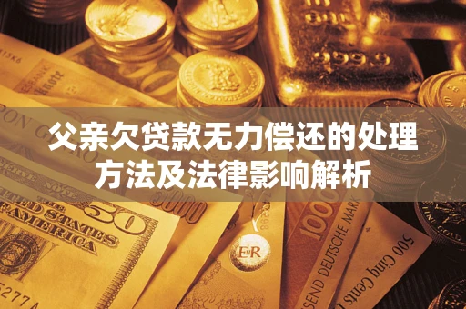 武汉父亲欠贷款无力偿还的处理方法及法律影响解析