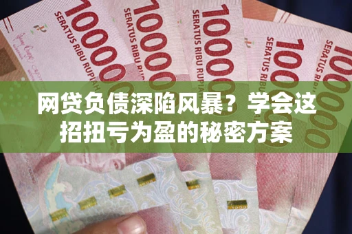 武汉网贷负债深陷风暴？学会这招扭亏为盈的秘密方案