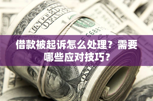 武汉借款被起诉怎么处理？需要哪些应对技巧？